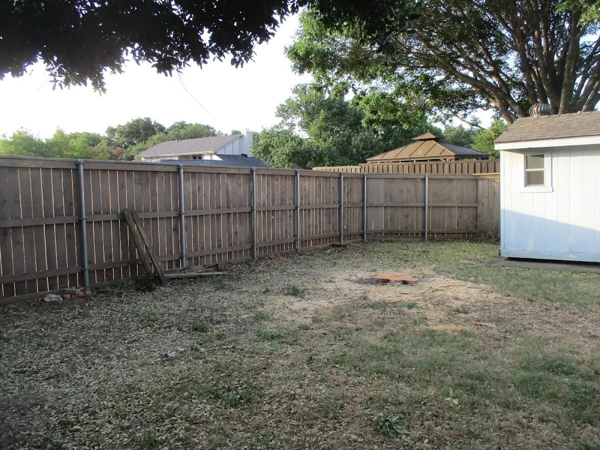 Cleared yard after professional tree removal in Brainardsville