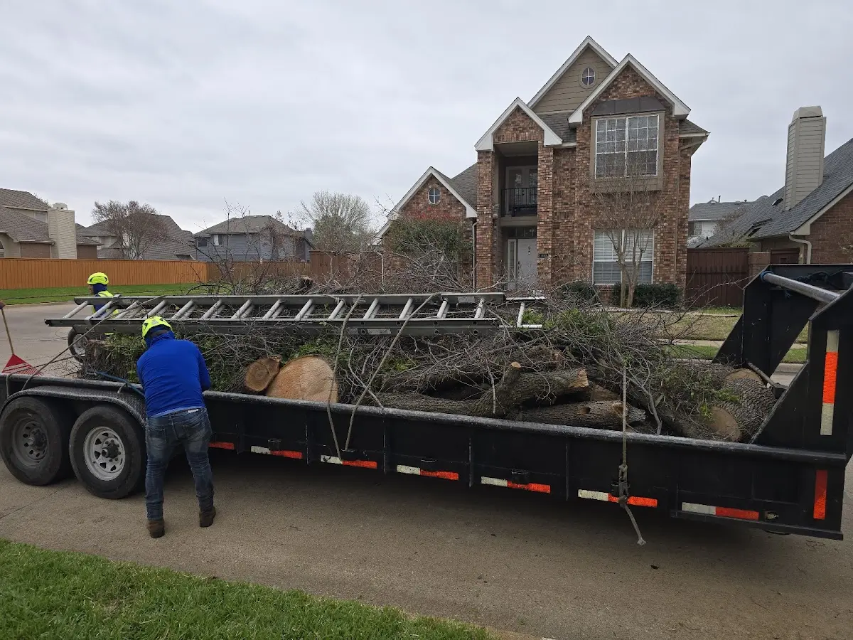 Expert Tree Removal with proper safety equipment in Brainardsville